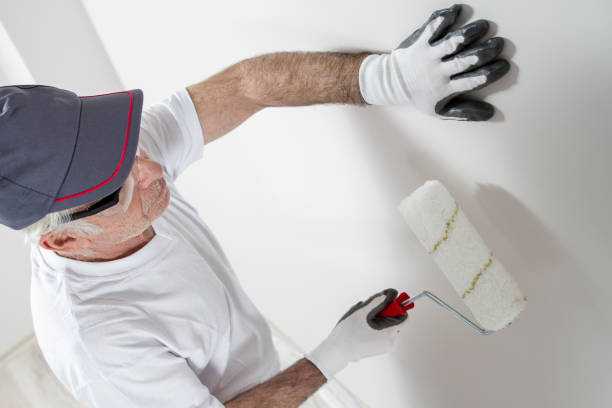 Best Drywall Patching  in Maiden, NC