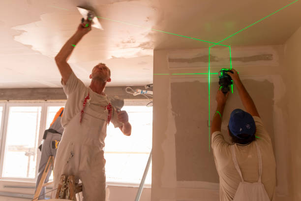 Best Drywall Sanding and Smoothing  in Maiden, NC